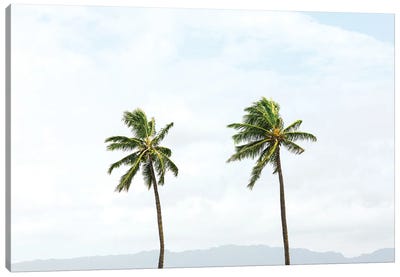 Two Hawaiian Palm Trees Canvas Art Print - Ben Renschen