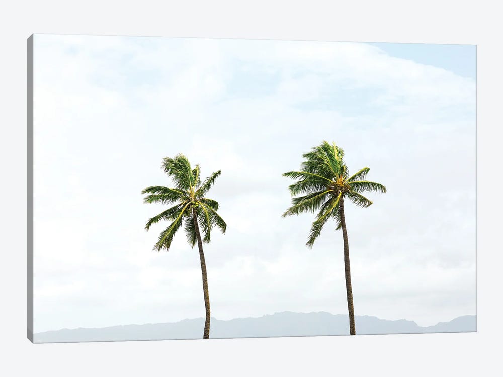 Two Hawaiian Palm Trees by Ben Renschen 1-piece Art Print