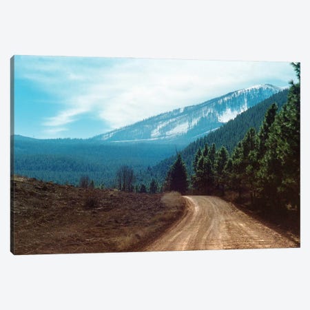 The Long Dirt Road Into The Mountain'S Forest Canvas Print #RNN5} by Ben Renschen Canvas Wall Art