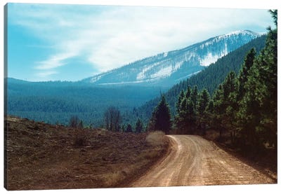 The Long Dirt Road Into The Mountain'S Forest Canvas Art Print - Ben Renschen