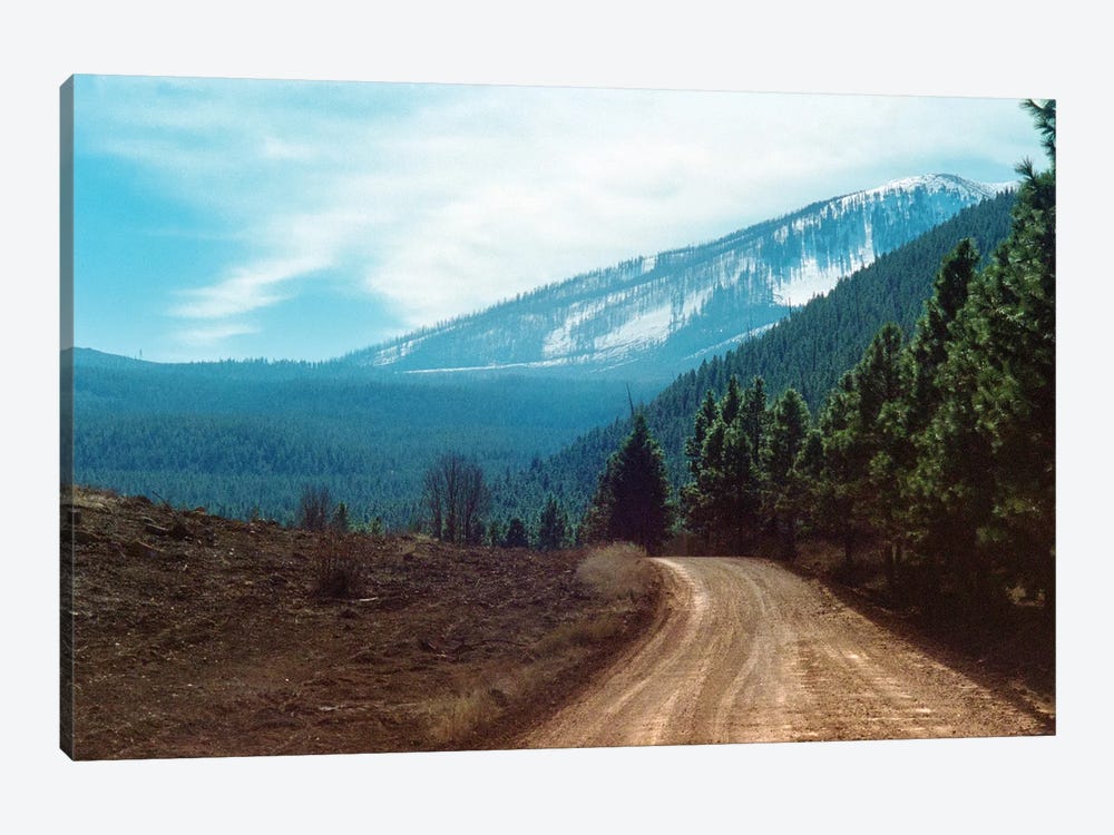 The Long Dirt Road Into The Mountain'S Forest by Ben Renschen 1-piece Art Print