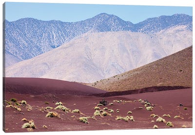 Red Desert Sand Against California Mountains Canvas Art Print - Ben Renschen