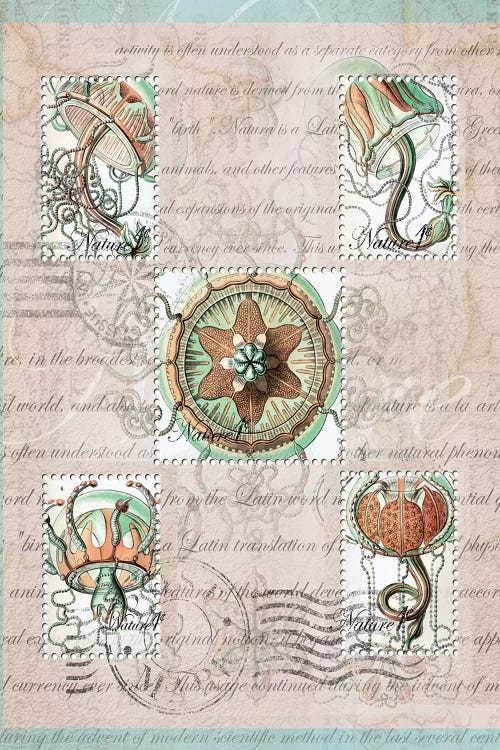 Vintage Nature #10 by Rnob wall art