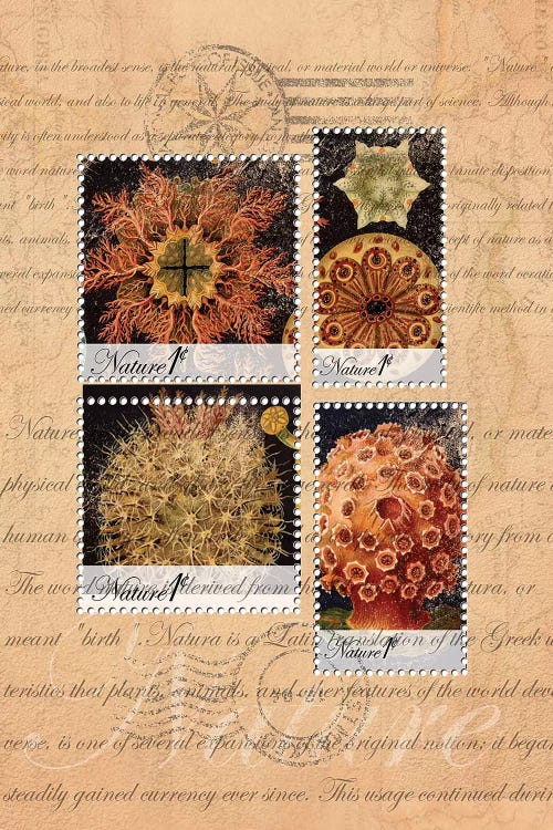 Vintage Nature #4 by Rnob wall art