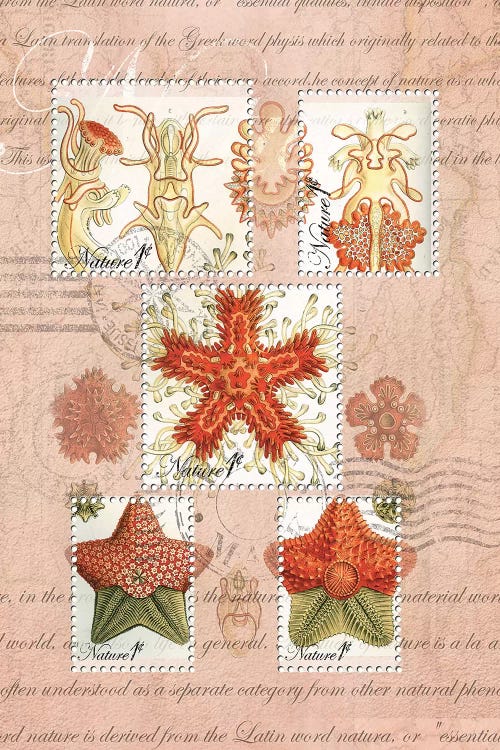 Vintage Nature #7 by Rnob wall art
