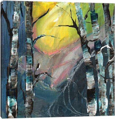 In The Vally Canvas Art Print - Aspen and Birch Trees
