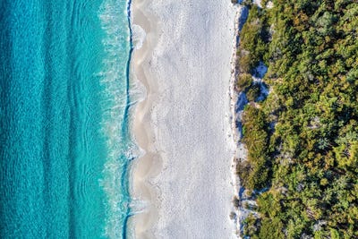 Bush, Sand, Sea by Jordan Robins framed canvas print