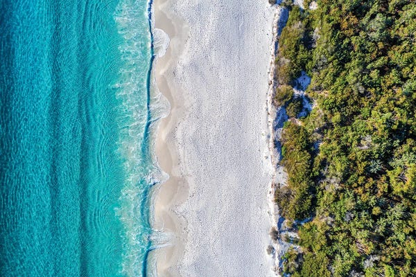 Bush, Sand, Sea