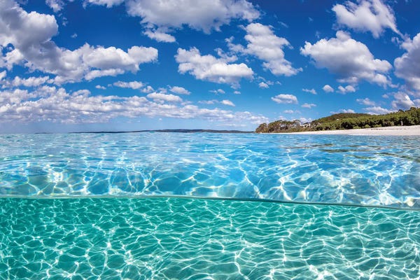 Underwater: Clarity Chinamans Beach by Jordan Robins