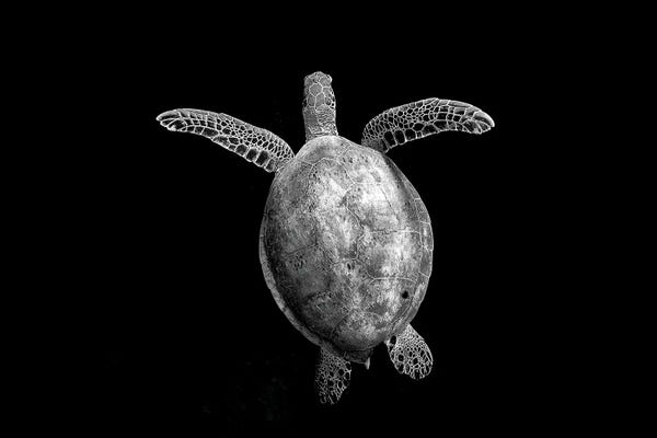 Photography: Floating Around by Jordan Robins