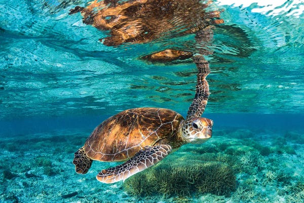 Large Photography - Canvas Prints: Hey You by Jordan Robins