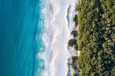 Morning Flight by Jordan Robins framed canvas print