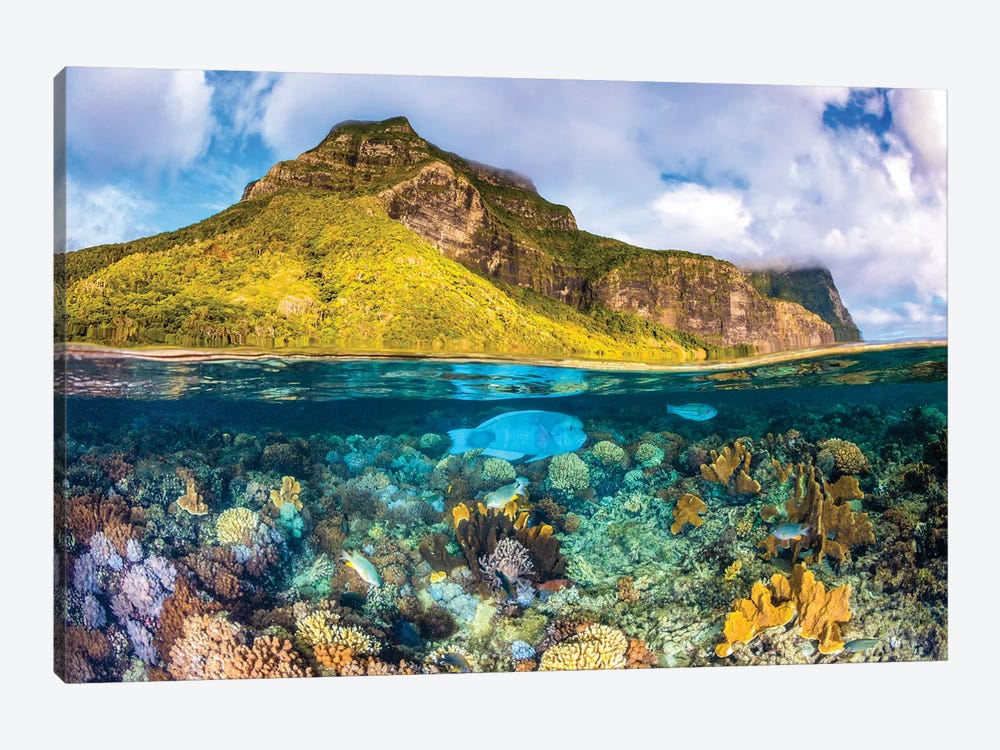 Mount Gower To The Sea Lord Howe Island by Jordan Robins 1-piece Canvas Wall Art
