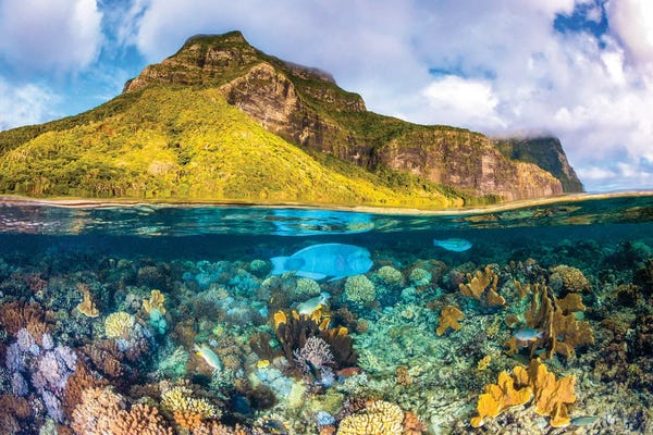 Mount Gower To The Sea Lord Howe Island