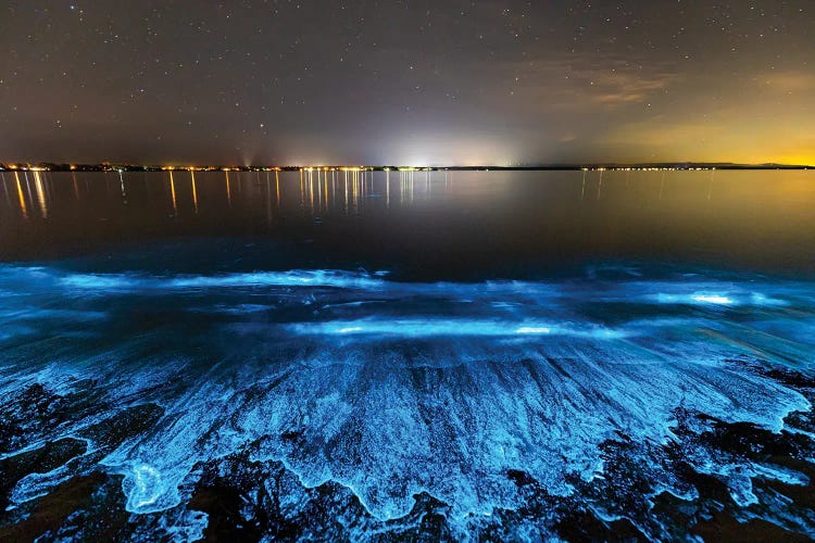 Sea Sparkle Jervis Bay by Jordan Robins wall art