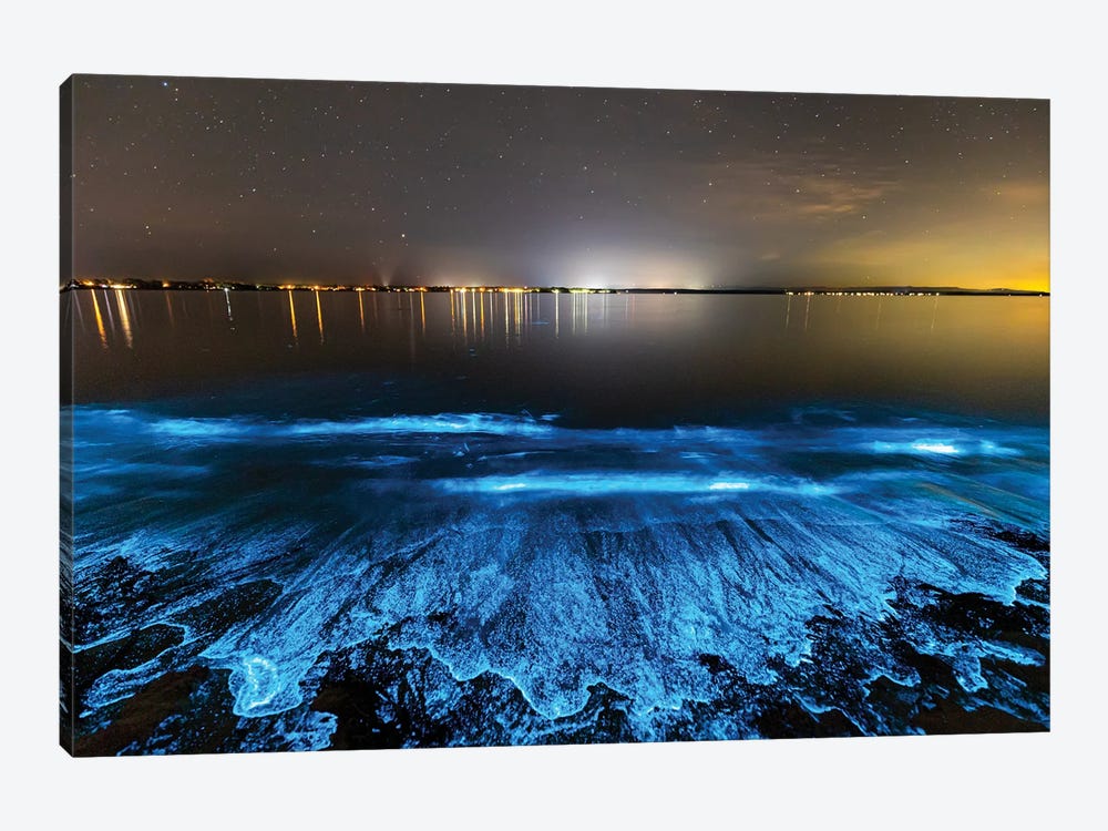Sea Sparkle Jervis Bay by Jordan Robins 1-piece Canvas Artwork