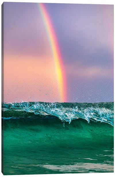 Beneath The Rainbow Vertical Canvas Art Print - Jordan Robins