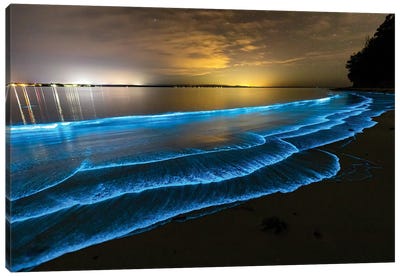 Bioluminescence Jervis Bay Canvas Art Print - Photography Art