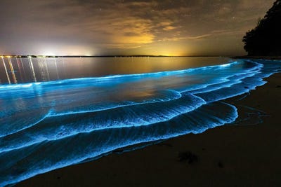 Seascapes