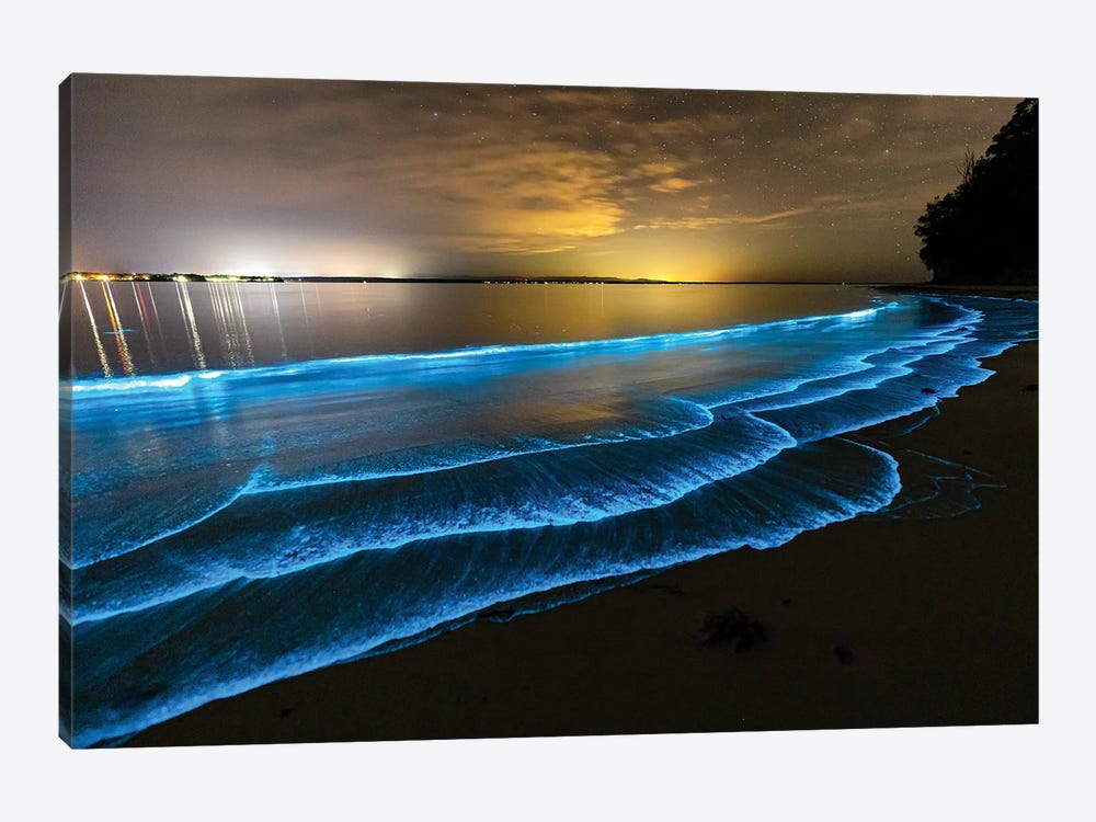 Bioluminescence Jervis Bay by Jordan Robins 1-piece Canvas Artwork