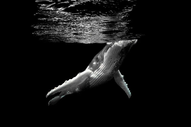 Breathe by Jordan Robins wall art