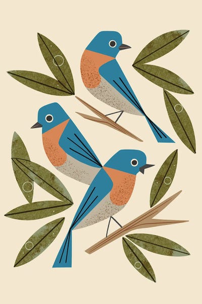 Bluebirds