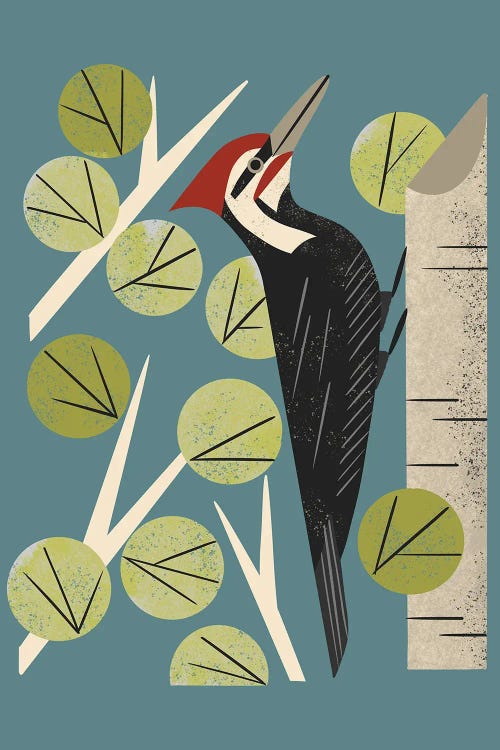 Woodpecker In Aspen by Renea L. Thull wall art