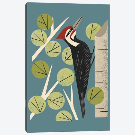 Woodpecker In Aspen Canvas Print #RNT117} by Renea L. Thull Canvas Print