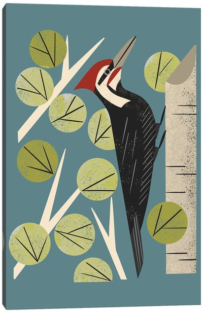 Woodpecker In Aspen Canvas Art Print - Aspen Tree Art