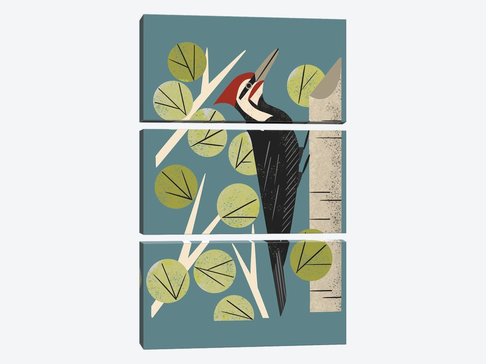 Woodpecker In Aspen by Renea L. Thull 3-piece Canvas Art Print