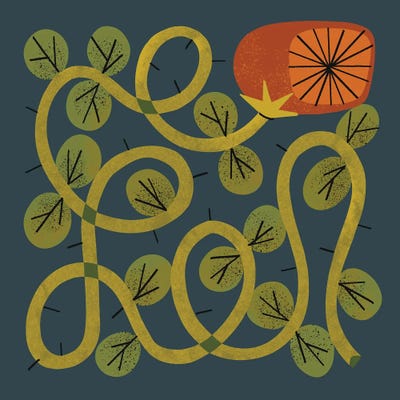 Bramble Rose II by Renea L. Thull canvas print