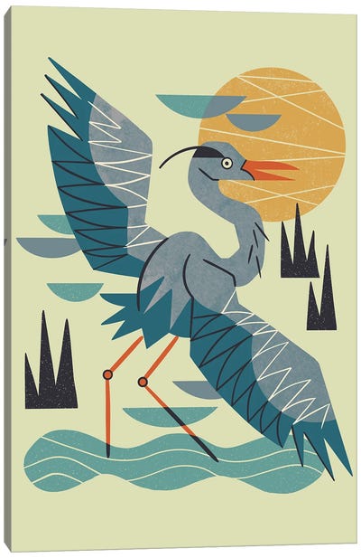 Stretching Heron Canvas Art Print - Great Blue Heron Art