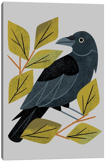 Perching Raven Canvas Art Print - Raven Art