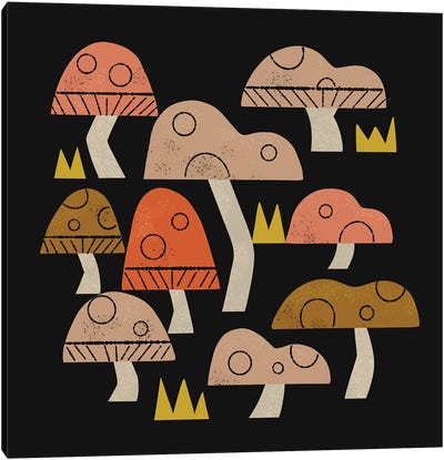 Toadstools Canvas Art Print - Mushroom Art
