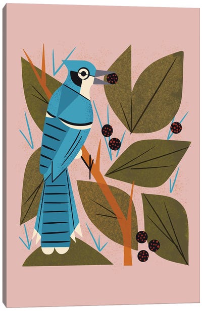 Blue Jay With Berries Canvas Art Print - Mid-Century Modern Animals