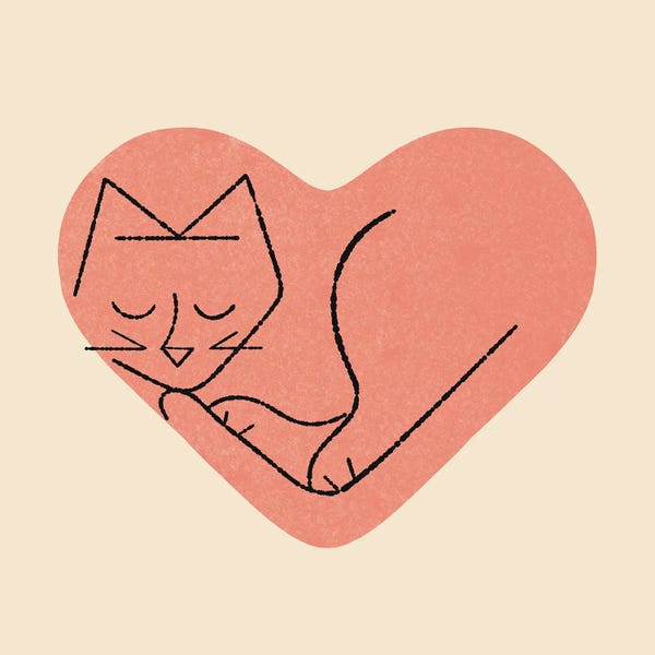 Cat Love
