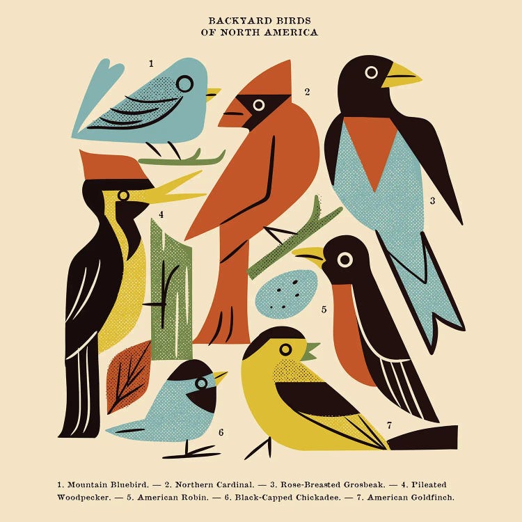 Backyard Birds Guide