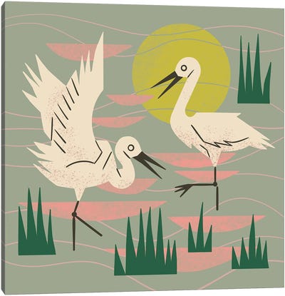 Cranes Wading At Sunset (Sage Green) Canvas Art Print - Grass Art