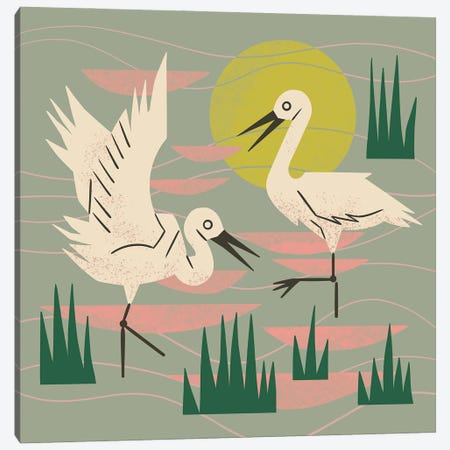 Cranes Wading At Sunset (Sage Green) Canvas Print #RNT18} by Renea L. Thull Art Print