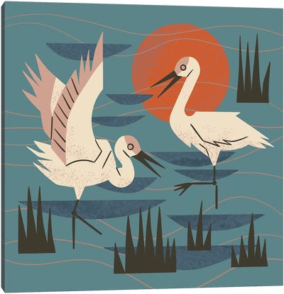 Cranes Wading At Sunset (Teal) Canvas Art Print - Grass Art