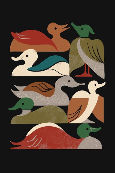 Ducks: Ducks In A Row by Renea L. Thull