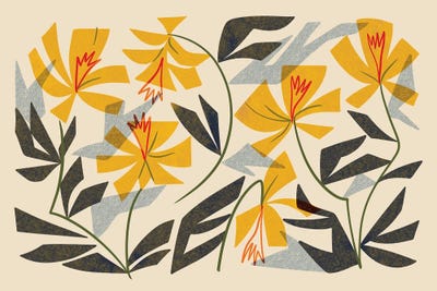 Minimalist Flowers