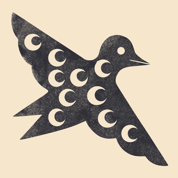 Astrology: Moon Bird (Black) by Renea L. Thull