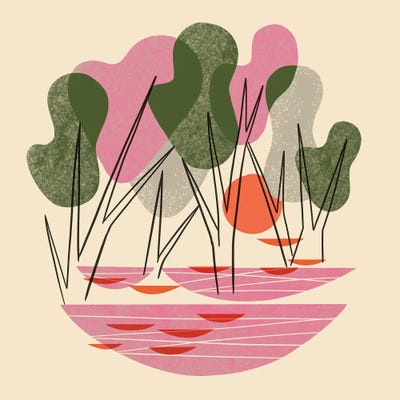 Forest Sunset by Renea L. Thull framed canvas print