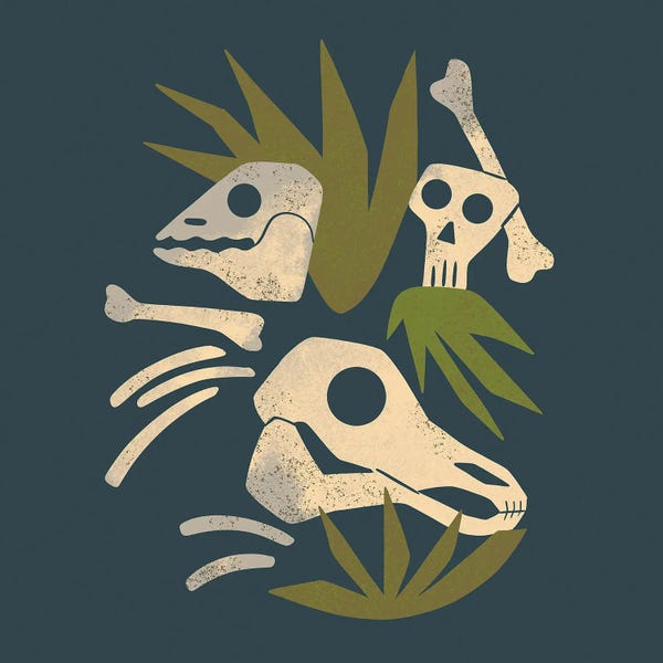 Grasses: Fossils by Renea L. Thull