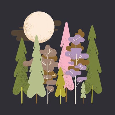 Moonlit Forest by Renea L. Thull framed canvas print