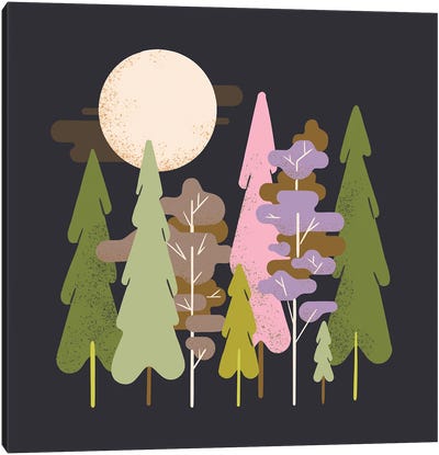 Moonlit Forest Canvas Art Print - Renea L. Thull