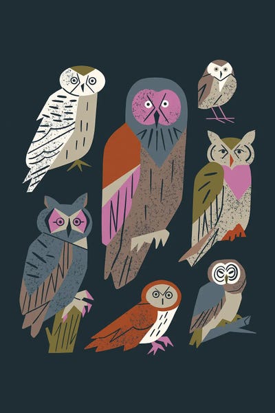 Owl Friends (Cool Black) by Renea L. Thull framed canvas print