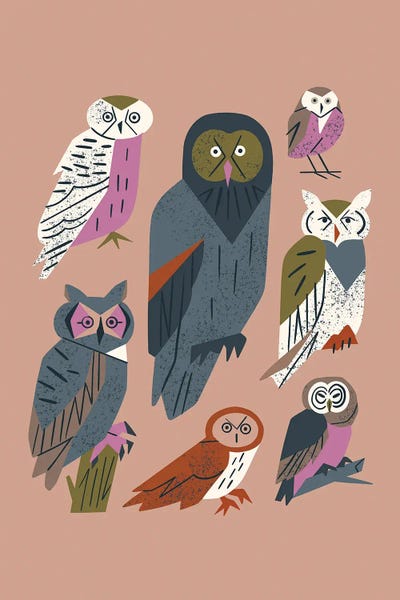 Owl Friends (Dusty Pink) by Renea L. Thull canvas print