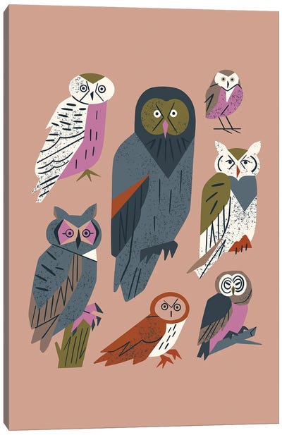 Owl Friends (Dusty Pink) Canvas Art Print - Renea L. Thull